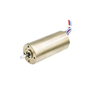16 मिमी सेंसरलेस ब्रशलेस मोटर स्लॉटलेस मोटर24V 10W 20W 18900rpm अनुकूलन योग्य