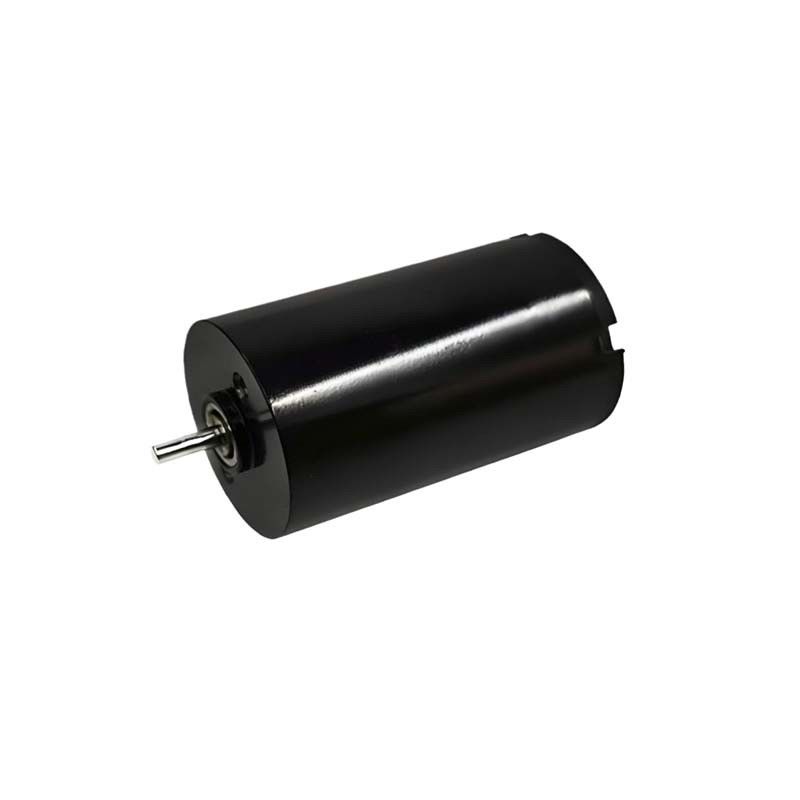 16 मिमी ब्रश डीसी मोटर 1.57 वाट 9980rpm इलेक्ट्रिक ब्रश डीसी मोटर 24V अनुकूलन योग्य