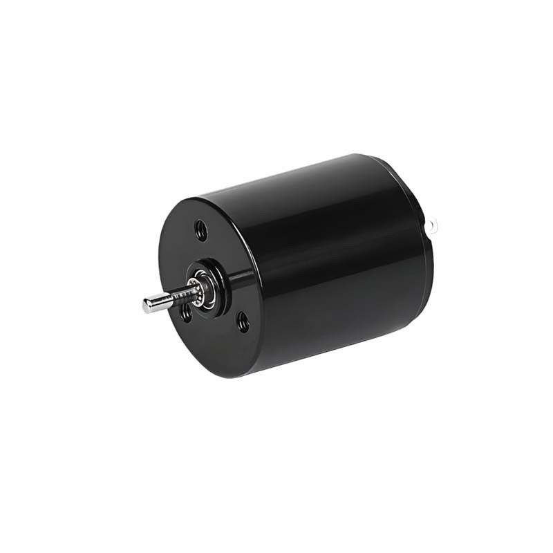 माइक्रो कोरलेस ब्रश डीसी मोटर 22mm 3.61 वाट 6900rpm 36V अनुकूलन योग्य